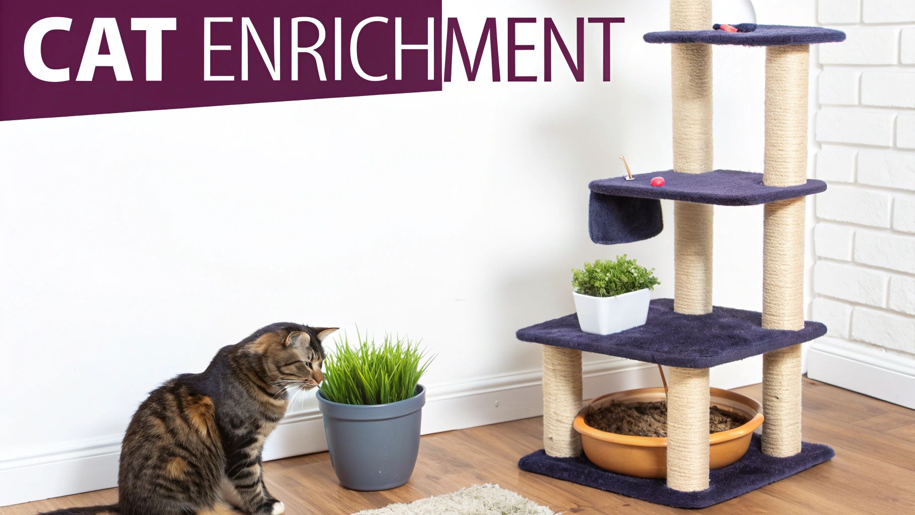 A tabby cat examines a green potted plant next to a multi-level purple cat tree, illustrating cat enrichment.