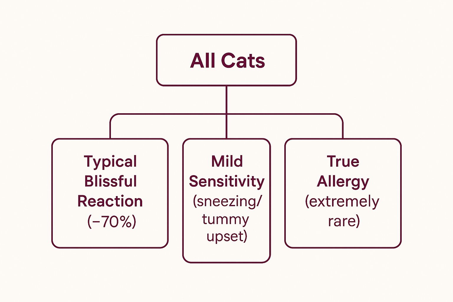 Infographic about can cats be allergic to catnip