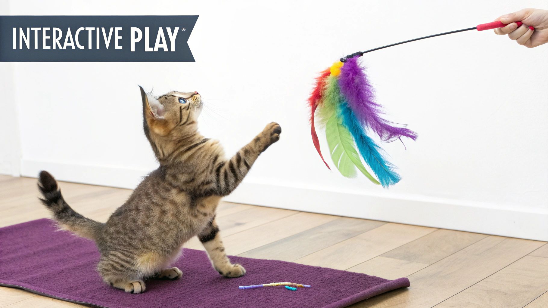 Interactive Wand Toys and Fishing Rod Games
