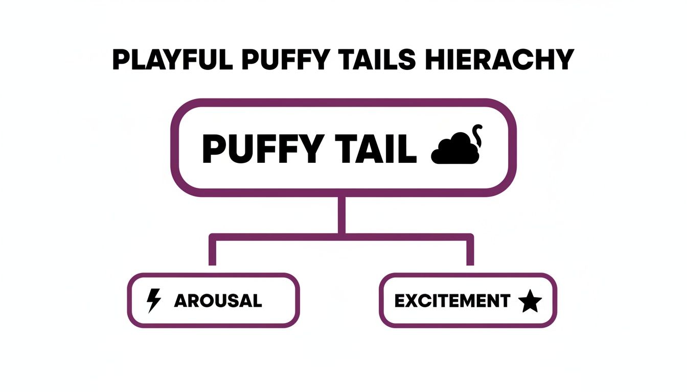 A hierarchy diagram titled 'Playful Puffy Tails' showing 'Puffy Tail' leading to 'Arousal' and 'Excitement'.