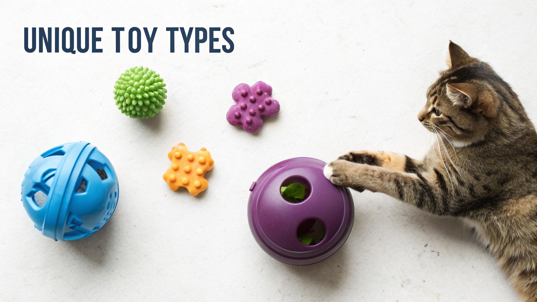 A tabby cat reaches for a purple treat dispensing toy, surrounded by other colorful unique cat toys.