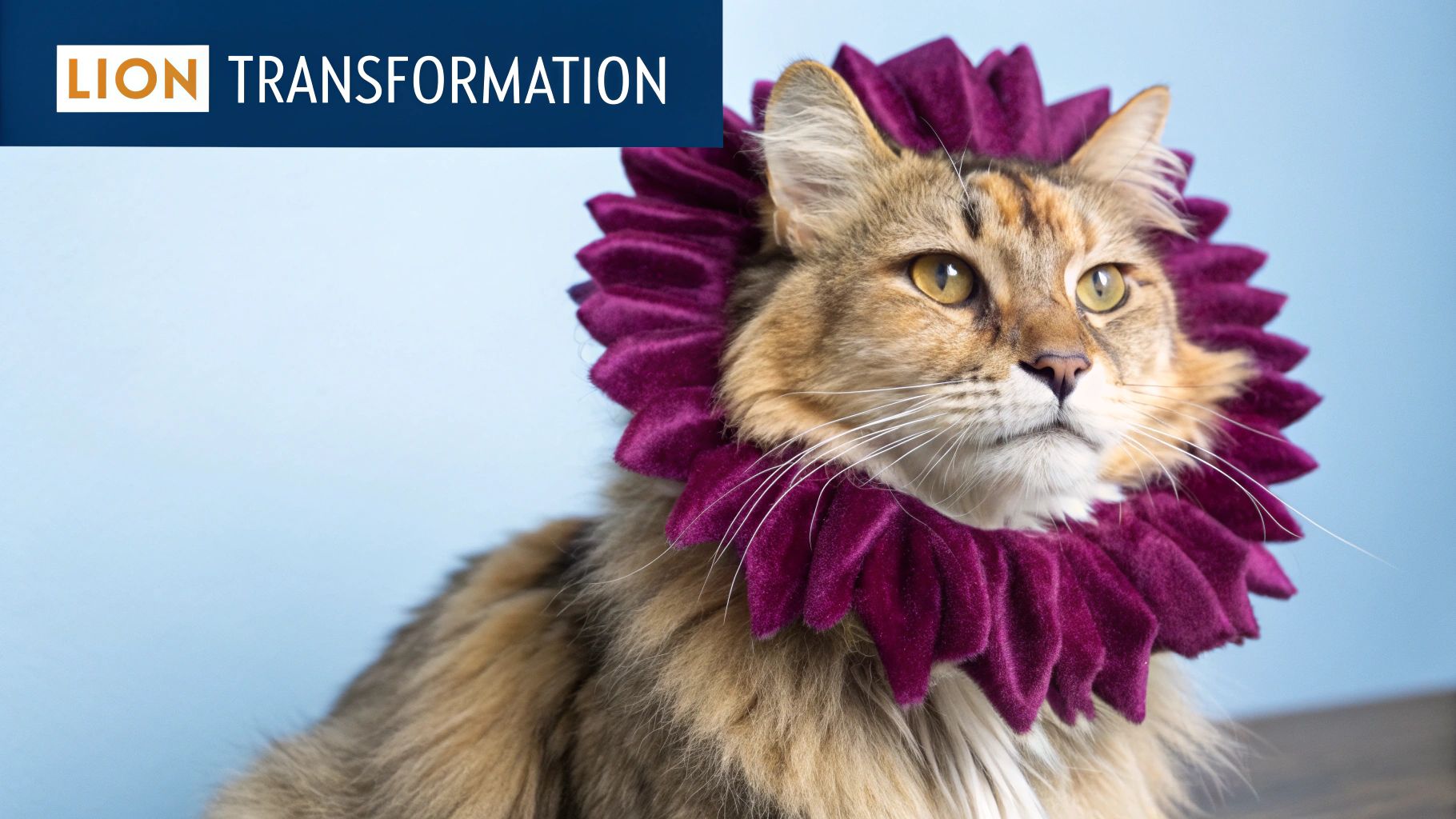 Lion Cat Costume
