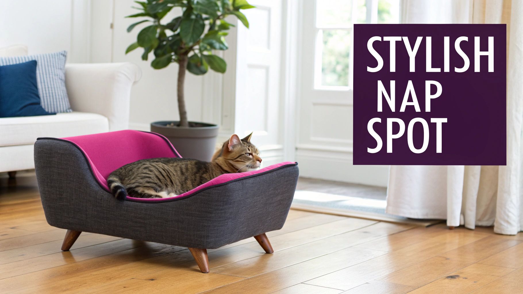 A domestic tabby cat relaxing in a chic pink and grey pet bed on a wooden floor in a bright living room.