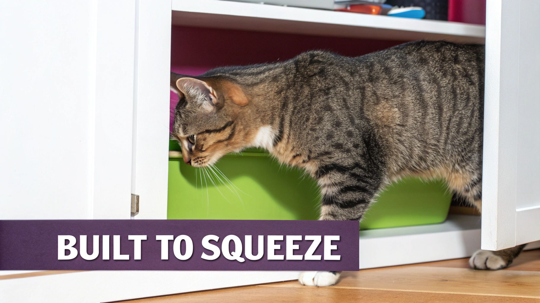A cute tabby cat with white paws squeezing into a narrow white cabinet containing a green litter box.