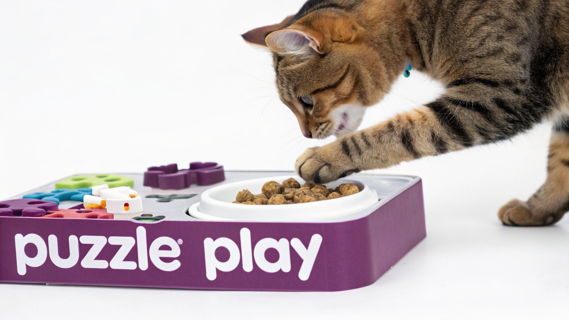Tabby cat playing with colorful puzzle feeder toy containing dry food treats