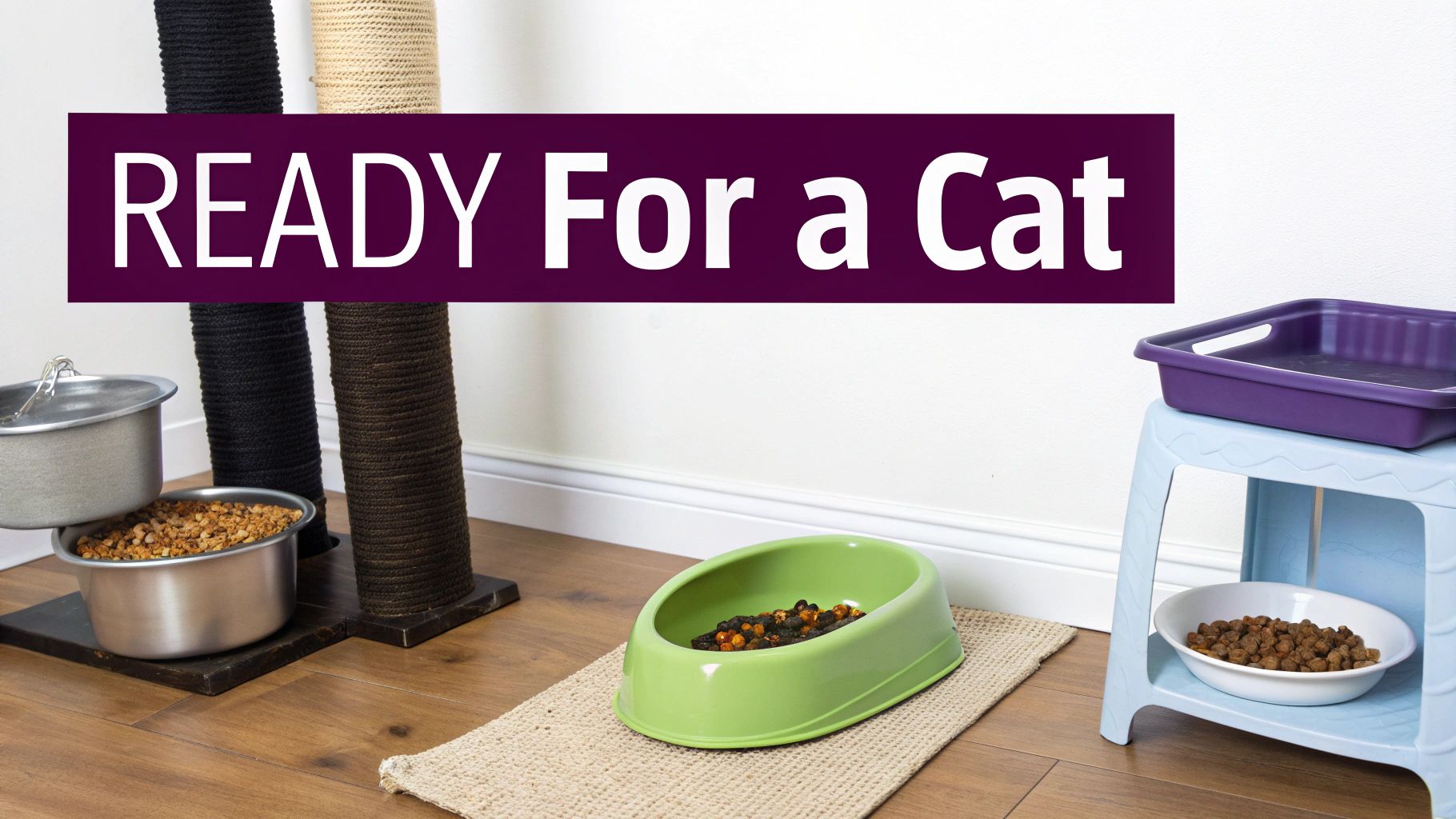 A happy person holding a cute, fluffy cat in their arms.