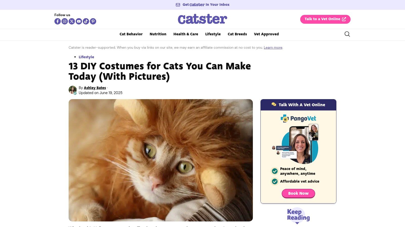 Catster