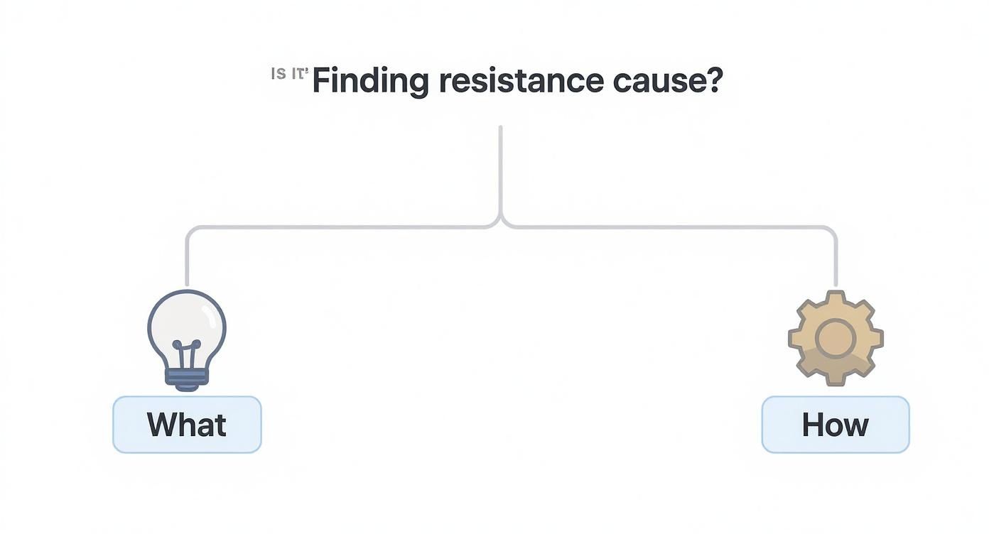 Diagram illustrating a framework for finding resistance causes, branching into 'What' (lightbulb) and 'How' (gear).