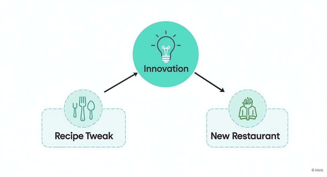 Infographic about types of innovation