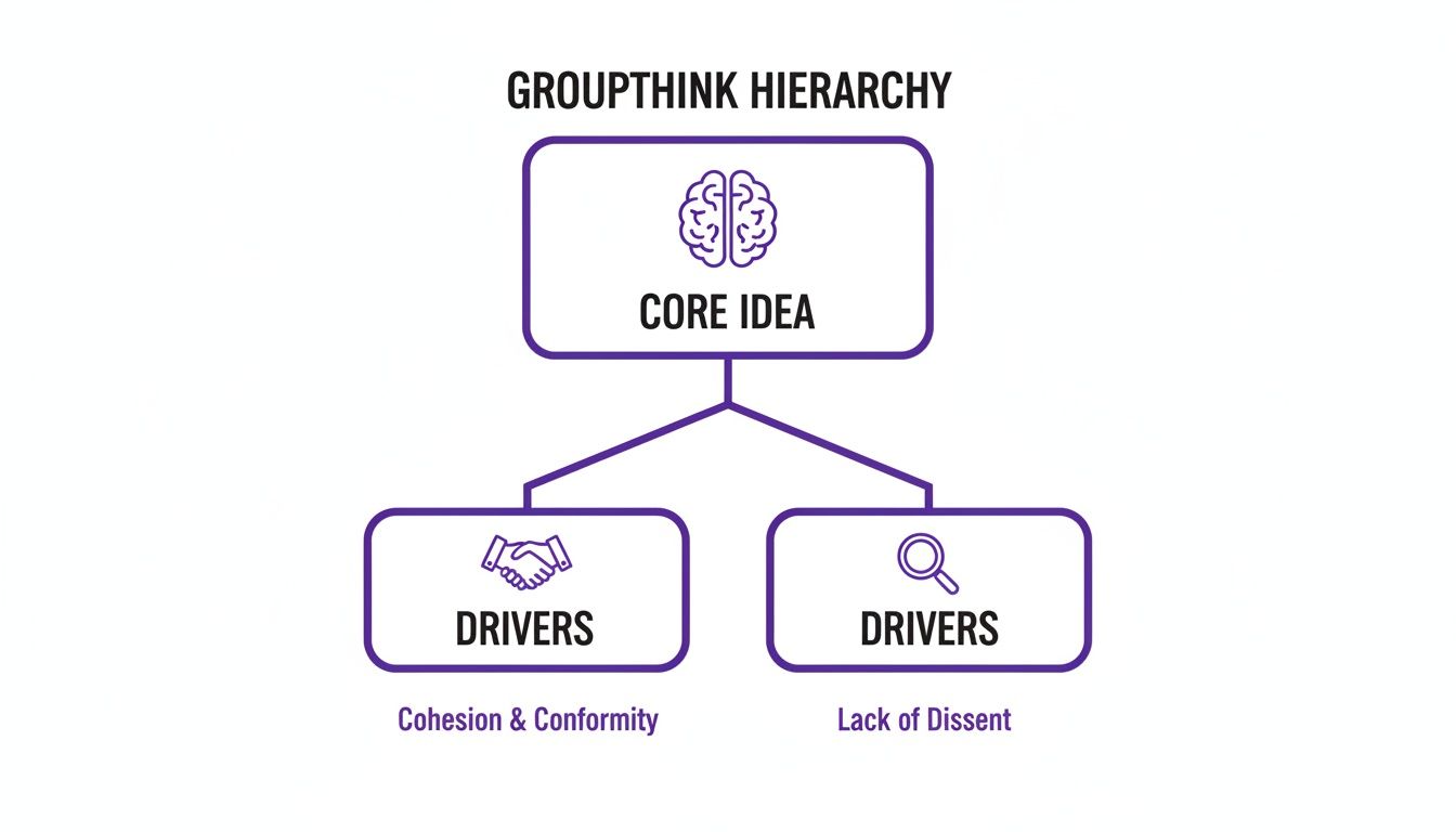 Hierarchy diagram showing groupthink's core idea driven by cohesion, conformity, and lack of dissent.