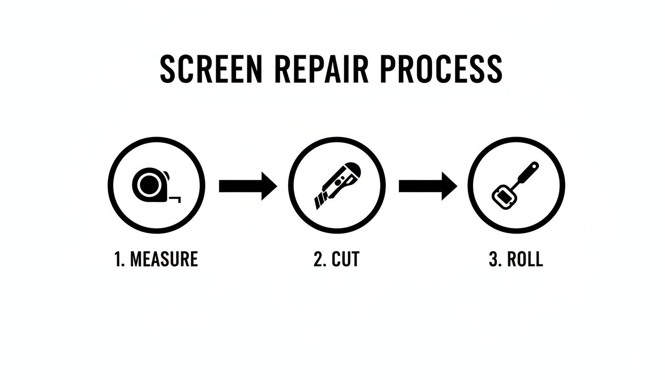 Illustrative diagram of screen repair process showing steps: 1. measure, 2. cut, 3. roll.