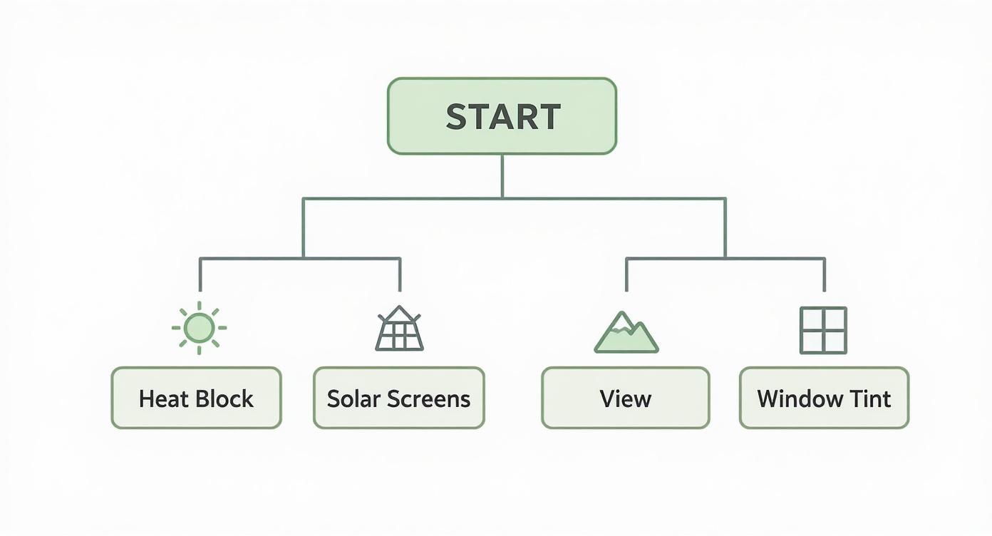Infographic about solar screens vs window tint