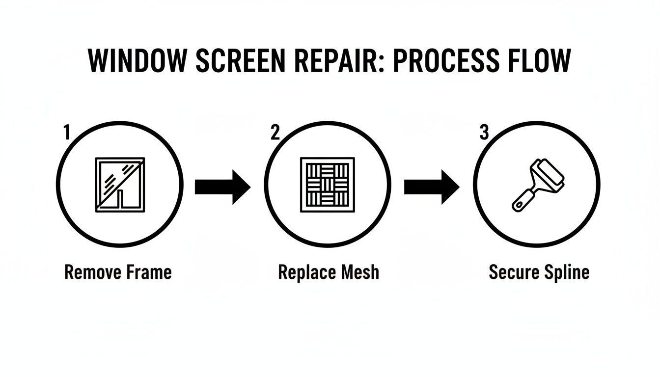 A three-step process flow for window screen repair: remove frame, replace mesh, and secure spline.