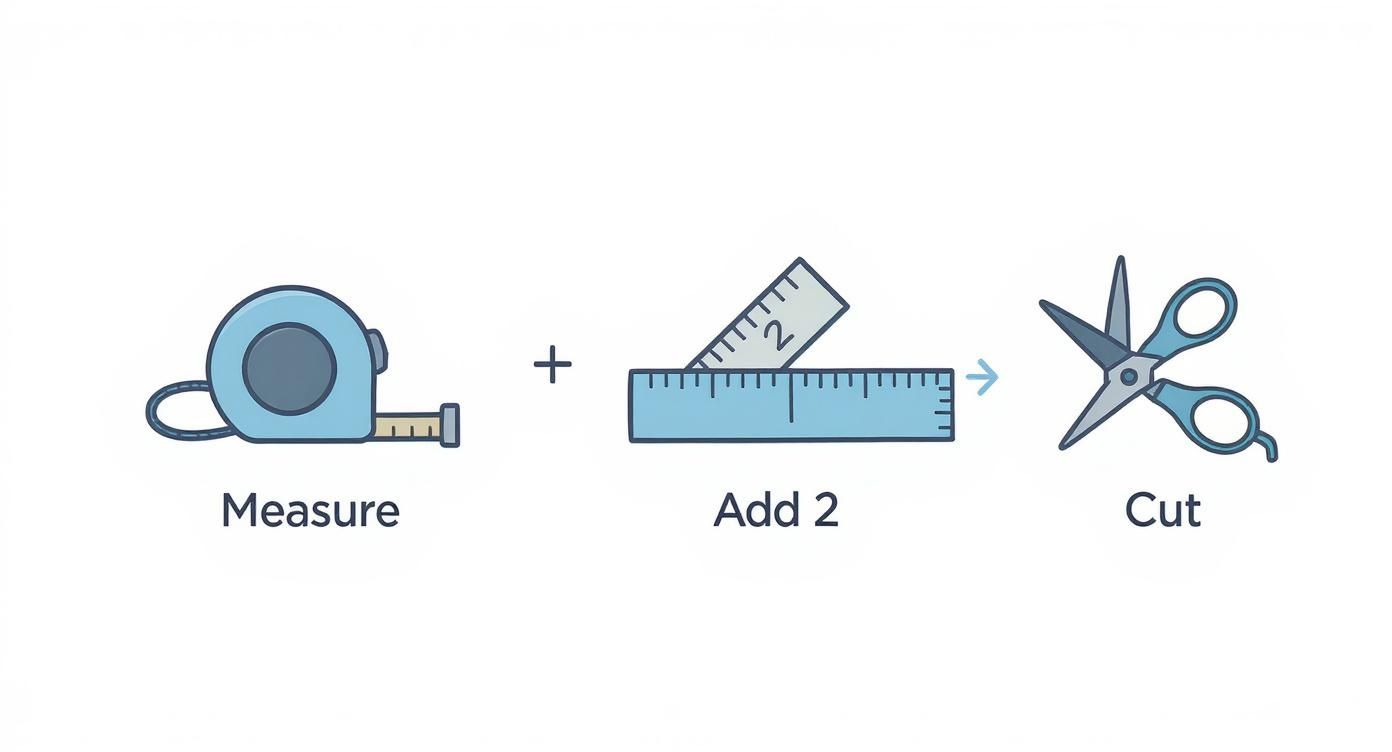Infographic about how to replace screen on porch