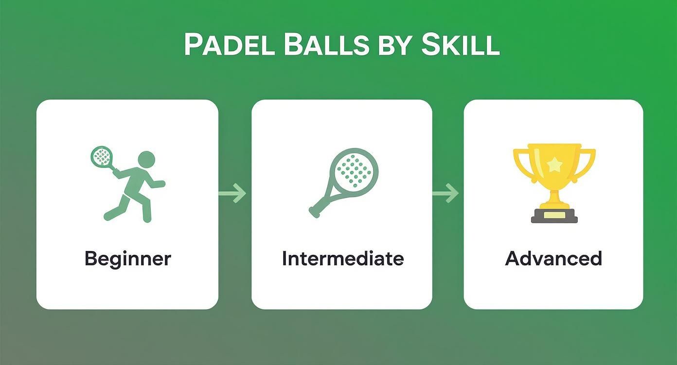 Infographic about padel balls for sale