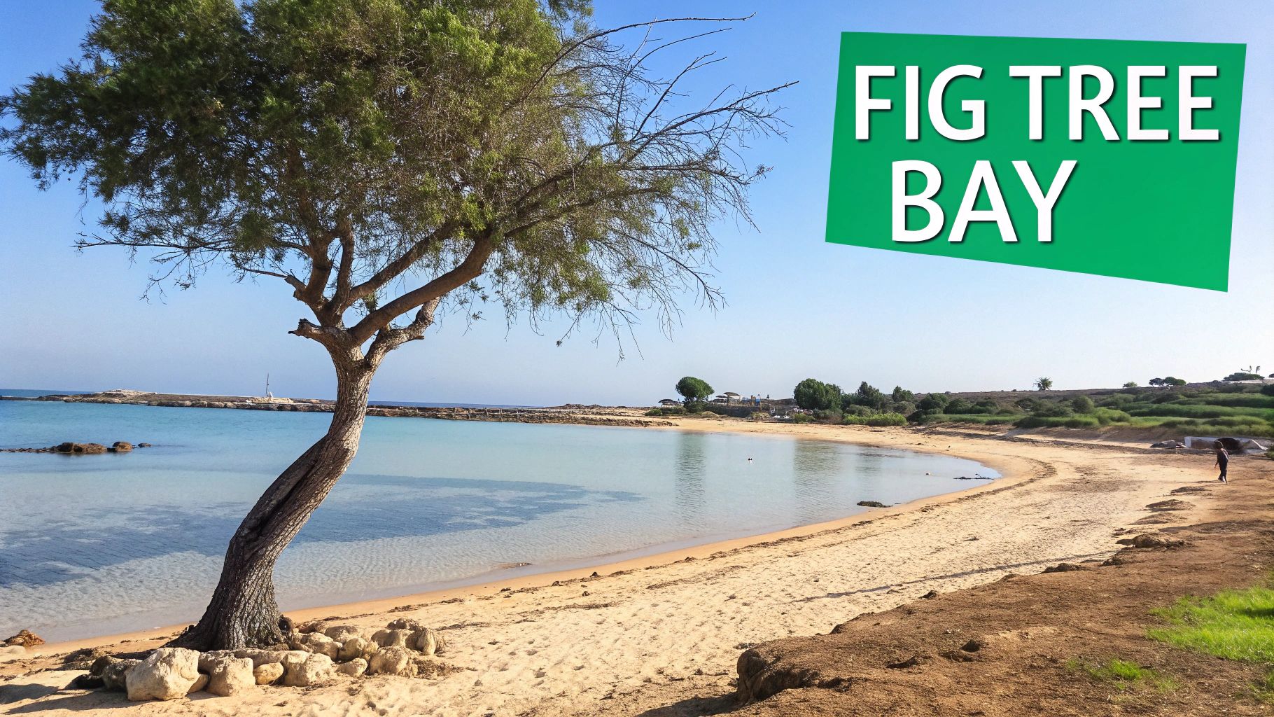 Fig Tree Bay