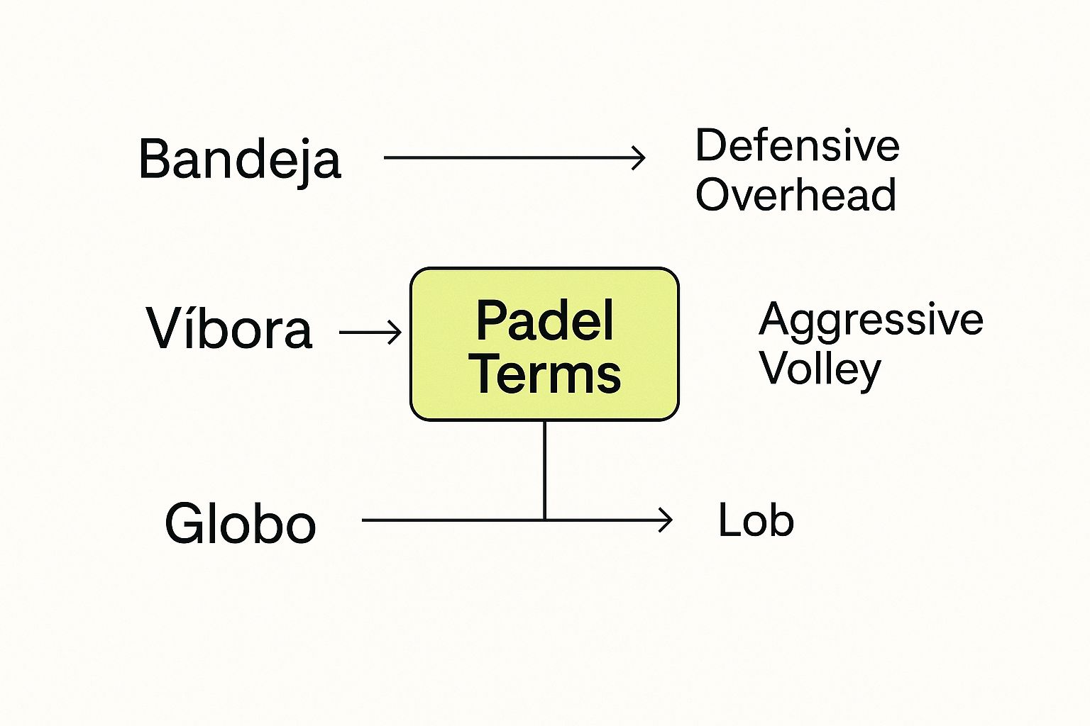 Infographic about padel in english