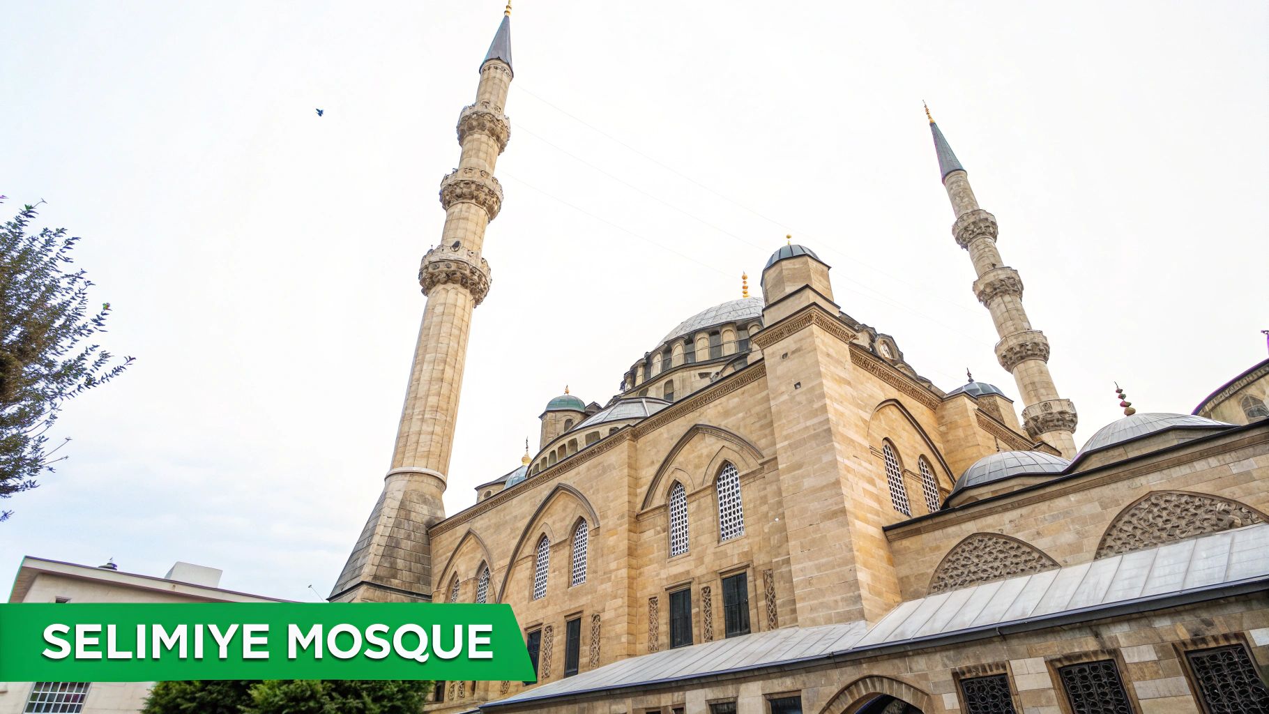 The grand interior of Selimiye Mosque, showing Gothic arches and Islamic prayer elements