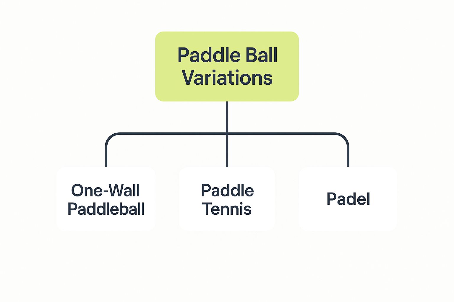Infographic about paddle ball rules