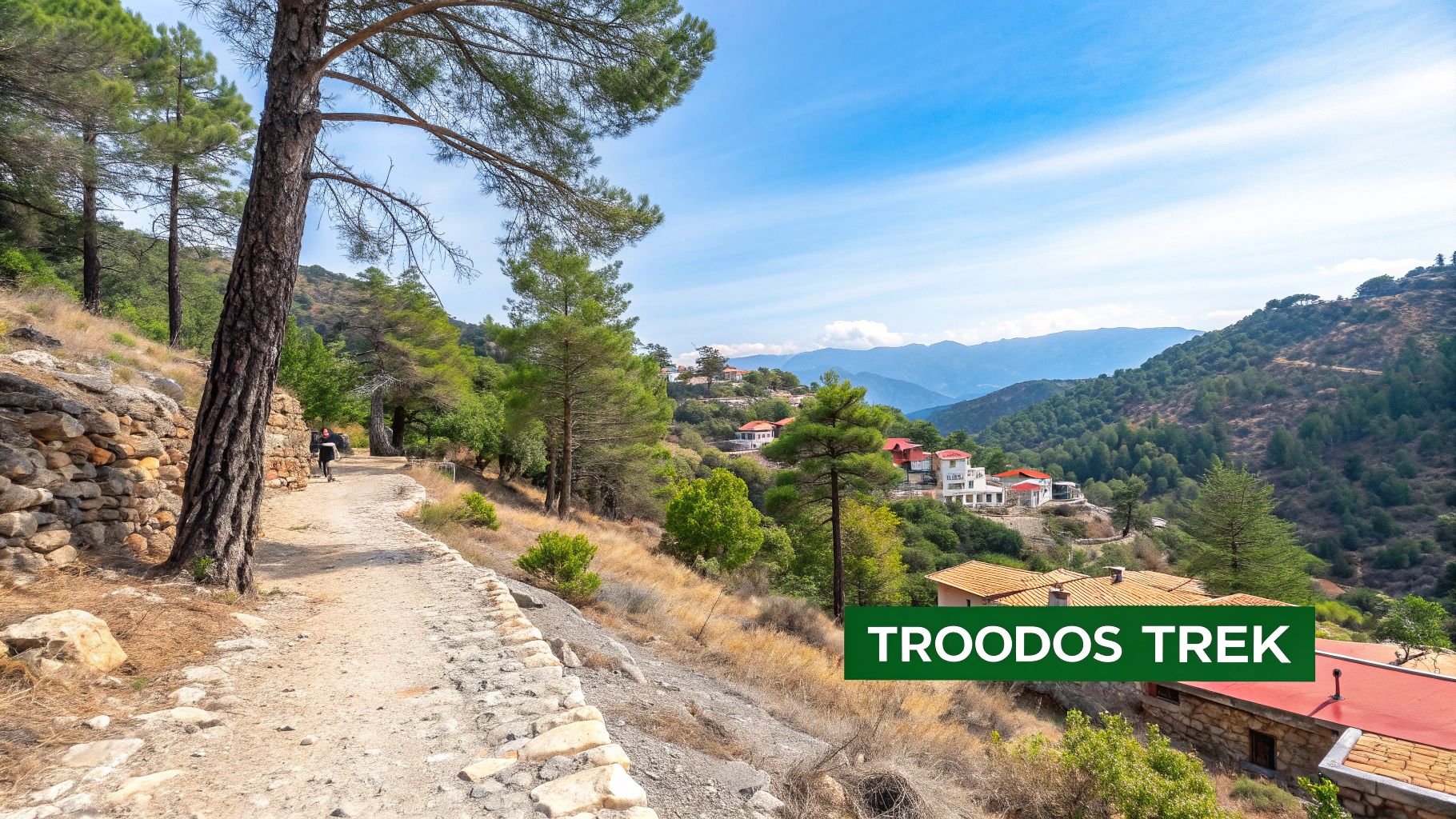 Hike Through the Troodos Mountains and Visit Traditional Villages