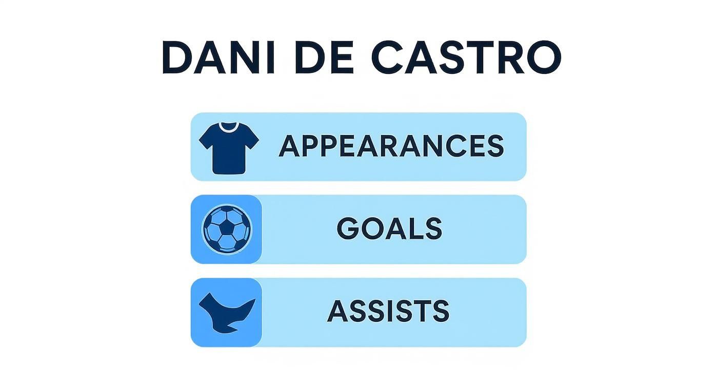 Infographic about dani de castro