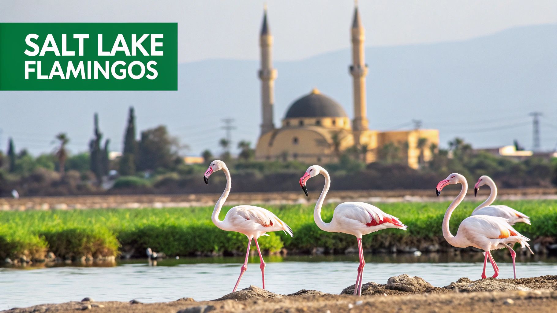 Discover the Divided Capital of Nicosia