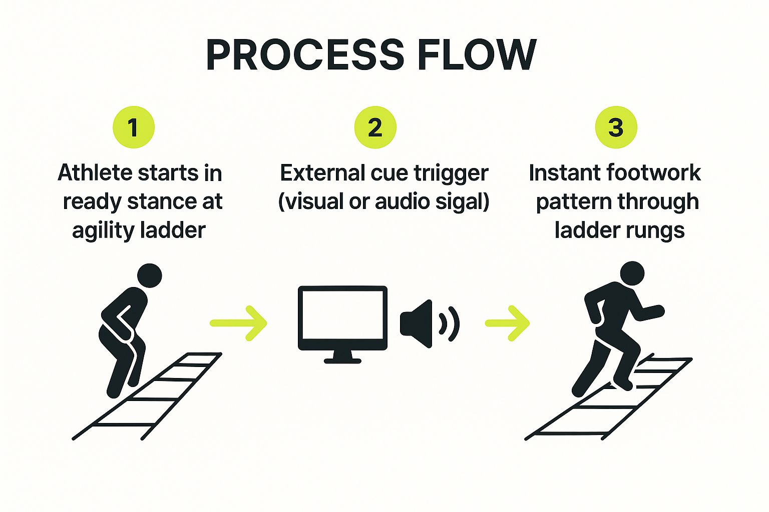 Infographic showing key data about Agility Ladder Reaction Patterns