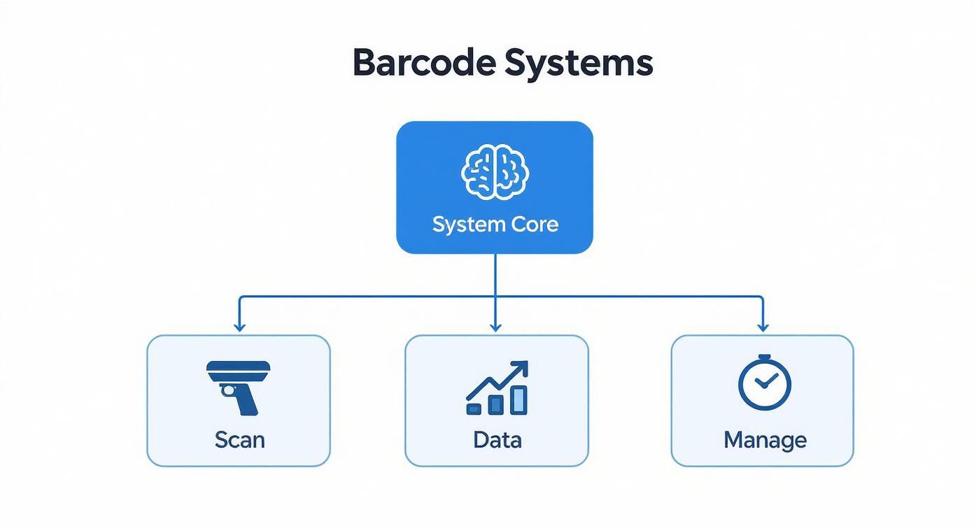 Infographic about barcode tracking systems