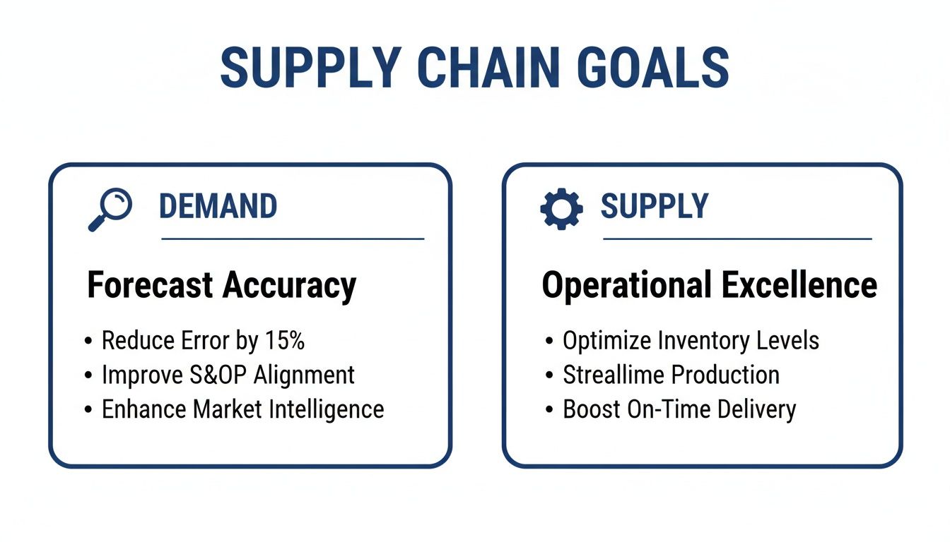 An infographic detailing supply chain goals, categorized into demand forecast accuracy and supply operational excellence.