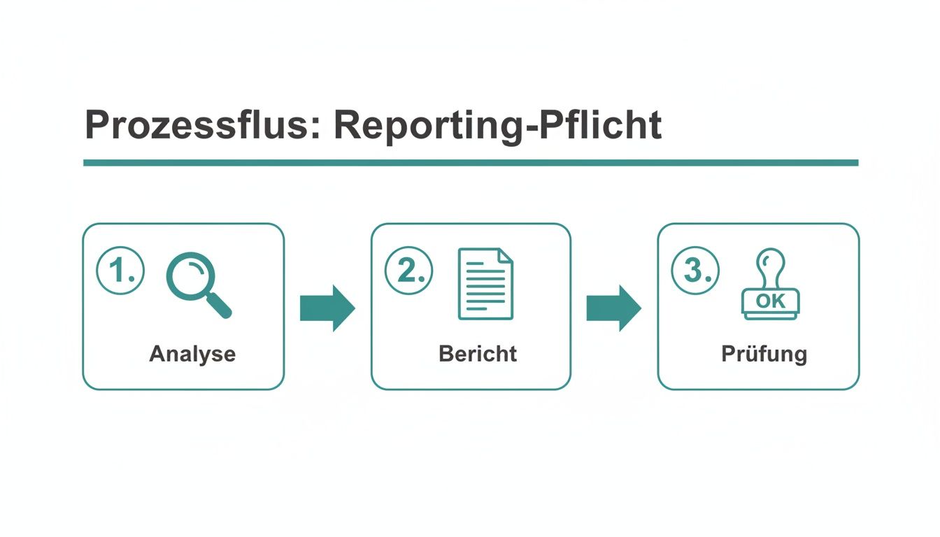 Infografik zum Prozessfluss der Reporting-Pflicht, inklusive Analyse, Bericht und Prüfung der Daten.