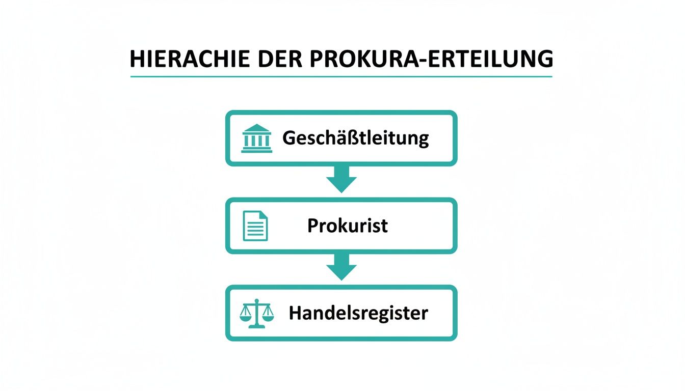 Flussdiagramm zur Hierarchie der Prokura-Erteilung, beginnend bei der Geschäftsleitung, über den Prokuristen bis zum Handelsregister.