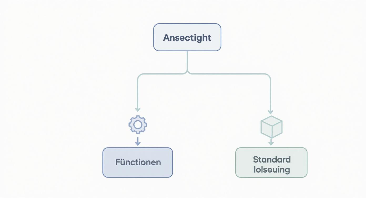 Screenshot from https://www.abacus.ch/abaplan