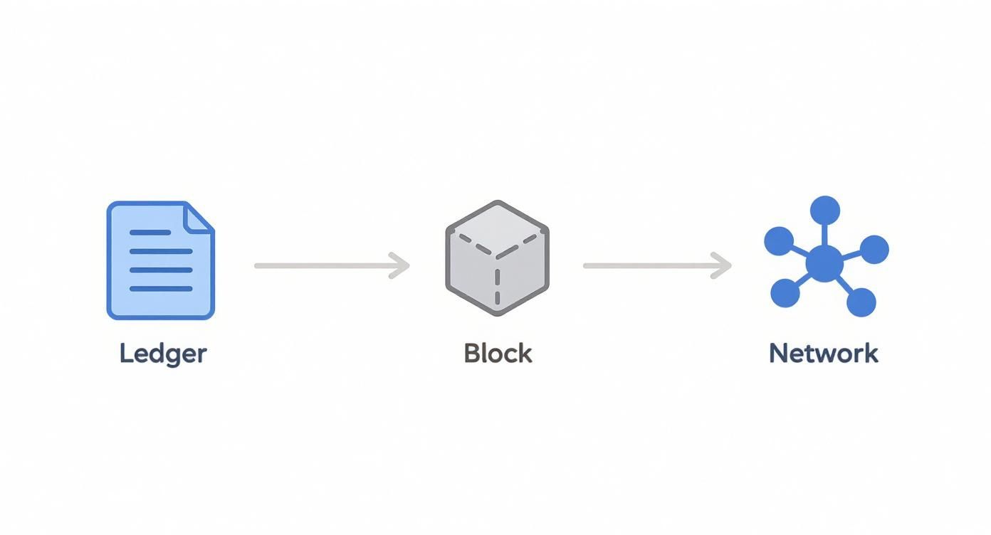 Infographic about what is blockchain technology