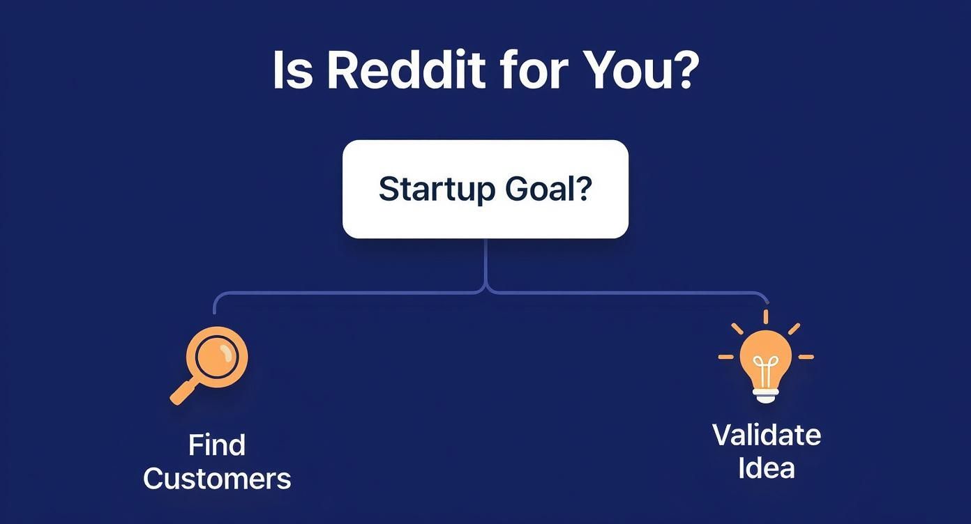 Infographic about reddit search engine