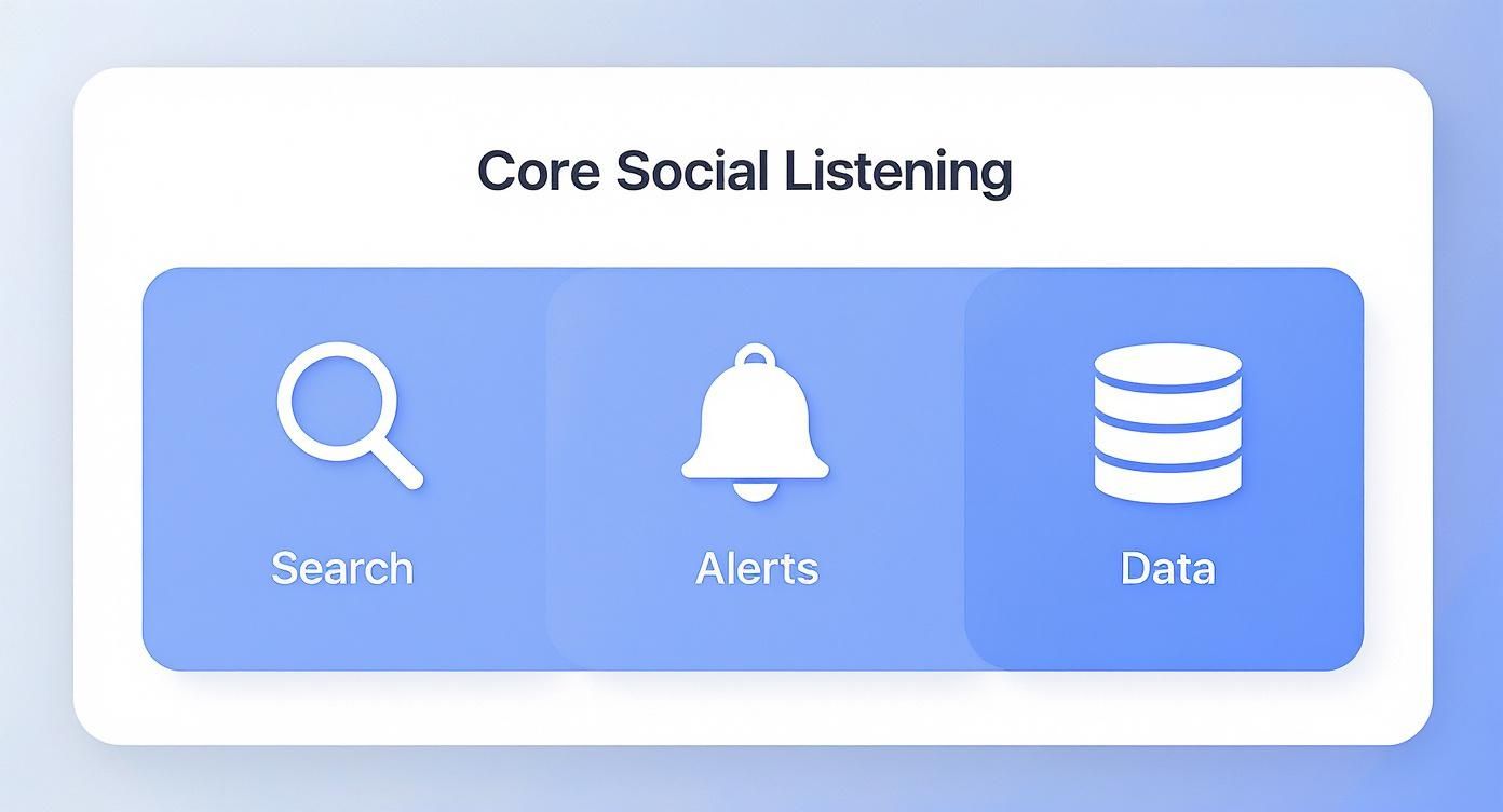 Infographic about social listening tools comparison