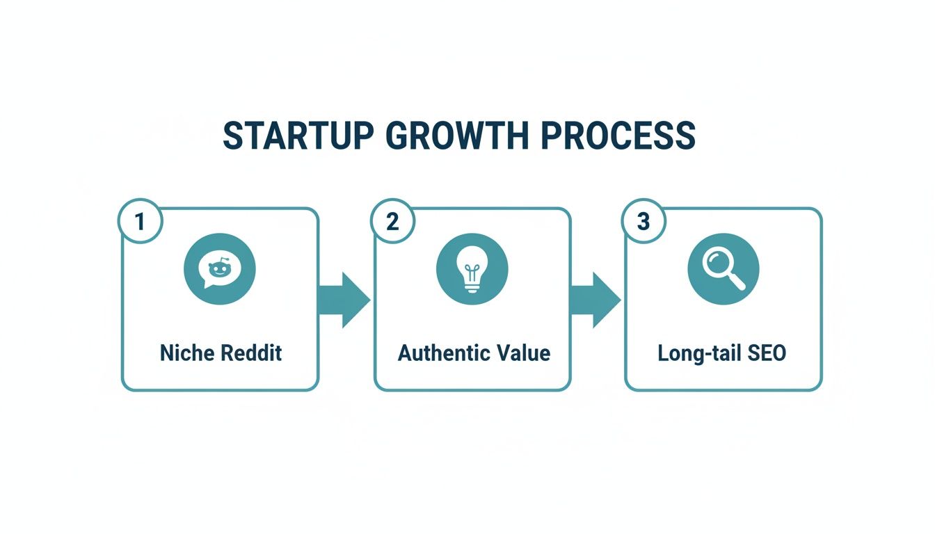 A three-step startup growth process flowchart, including Niche Reddit, Authentic Value, and Long-tail SEO.