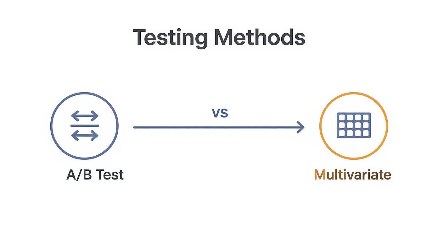 Infographic about what is split testing