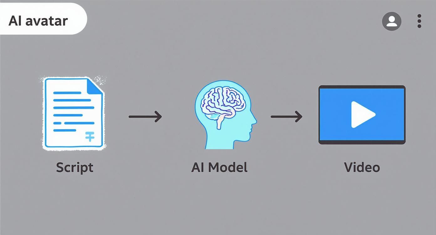Infographic about ai avatar videos