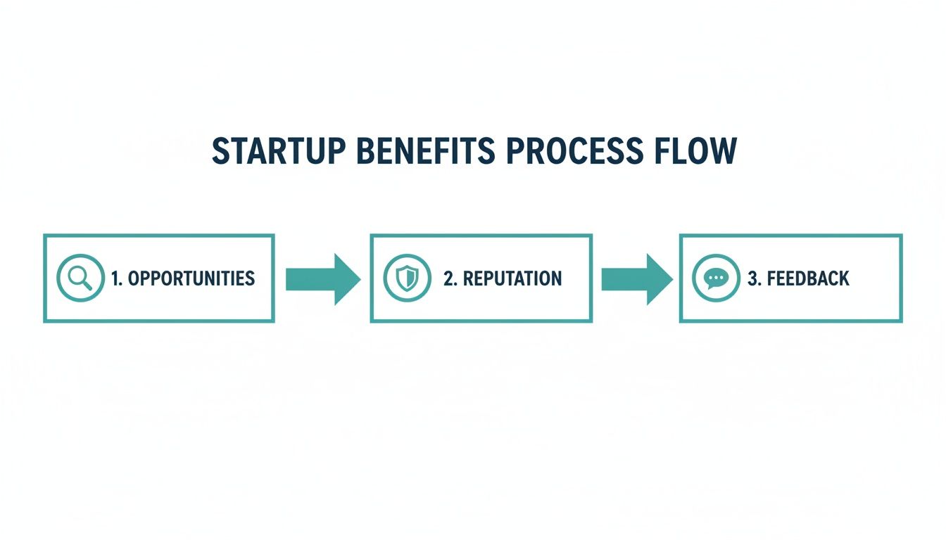 A horizontal flow diagram outlining the startup benefits process: 1. Opportunities, 2. Reputation, 3. Feedback.