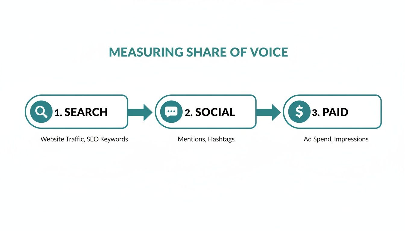 Diagram illustrating how to measure share of voice through search, social, and paid channels.