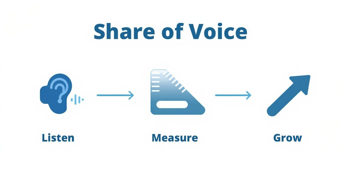 A blue diagram illustrating the Share of Voice process with icons for Listen, Measure, and Grow.