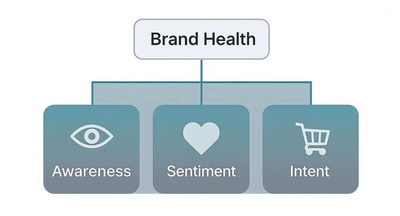 Infographic about brand health tracker