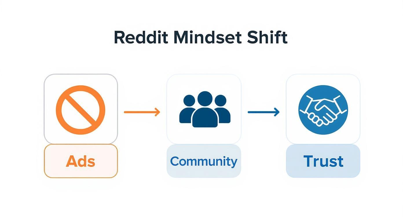 Infographic about how to promote on reddit