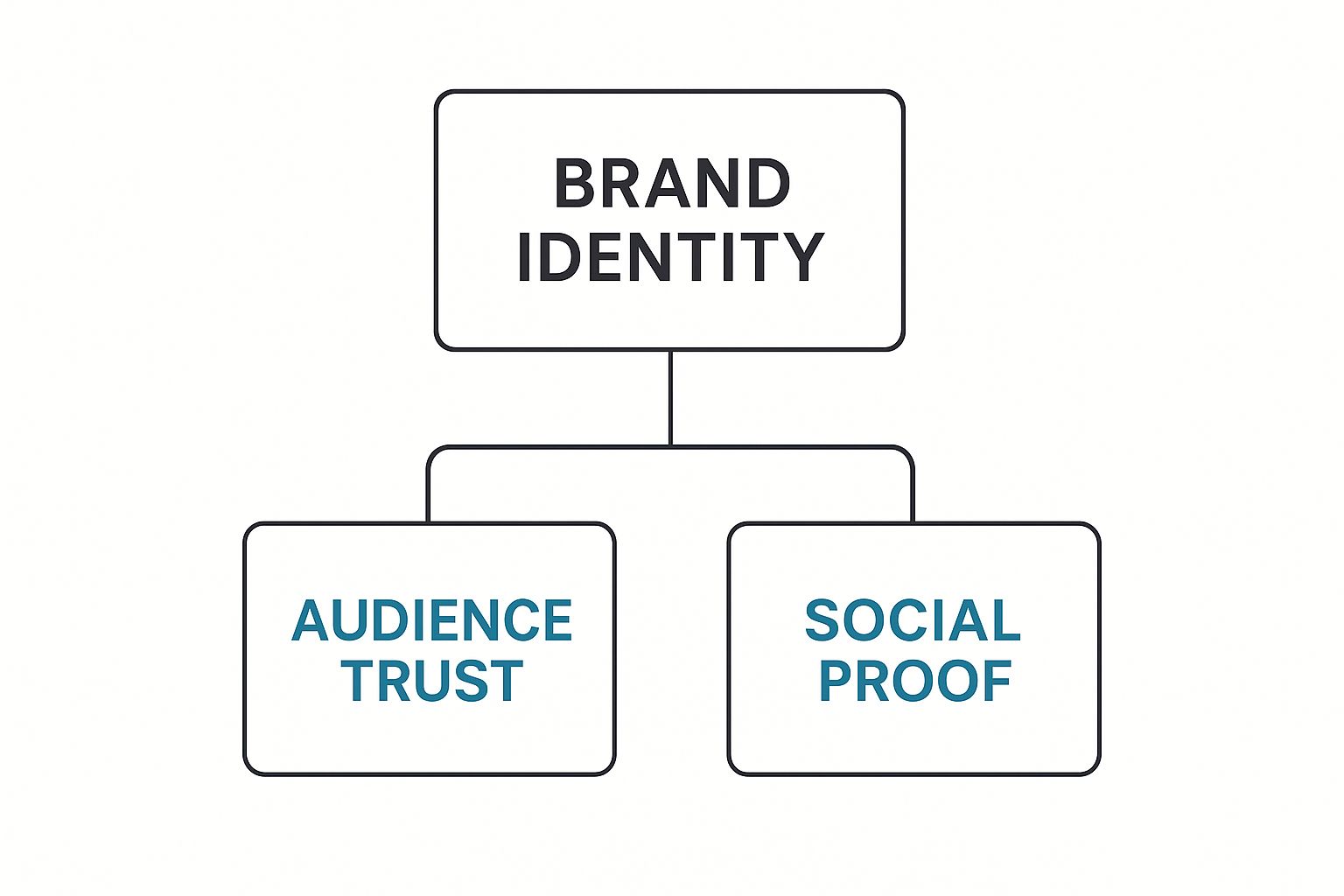 Infographic showing Brand Identity at the top, branching down to Audience Trust and Social Proof, illustrating their relationship.