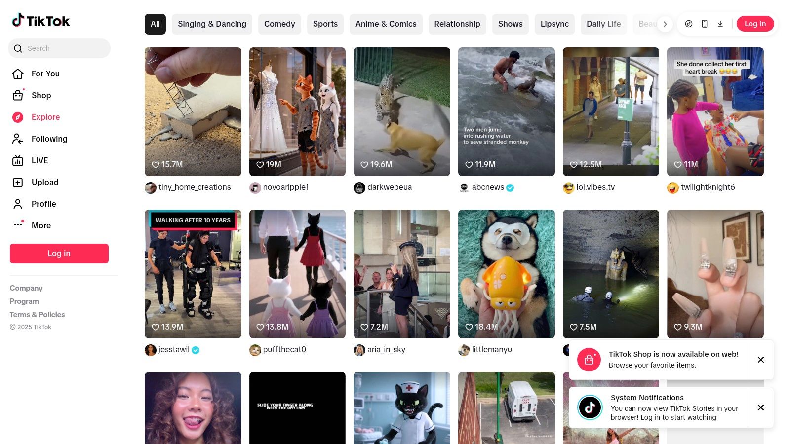 TikTok (Creator Rewards Program)