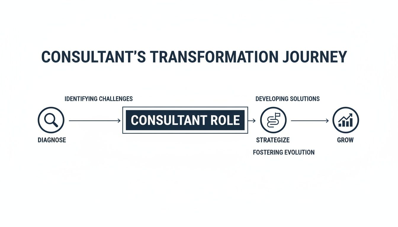 Flowchart illustrating a consultant's transformation journey from diagnosis to growth, detailing key phases.