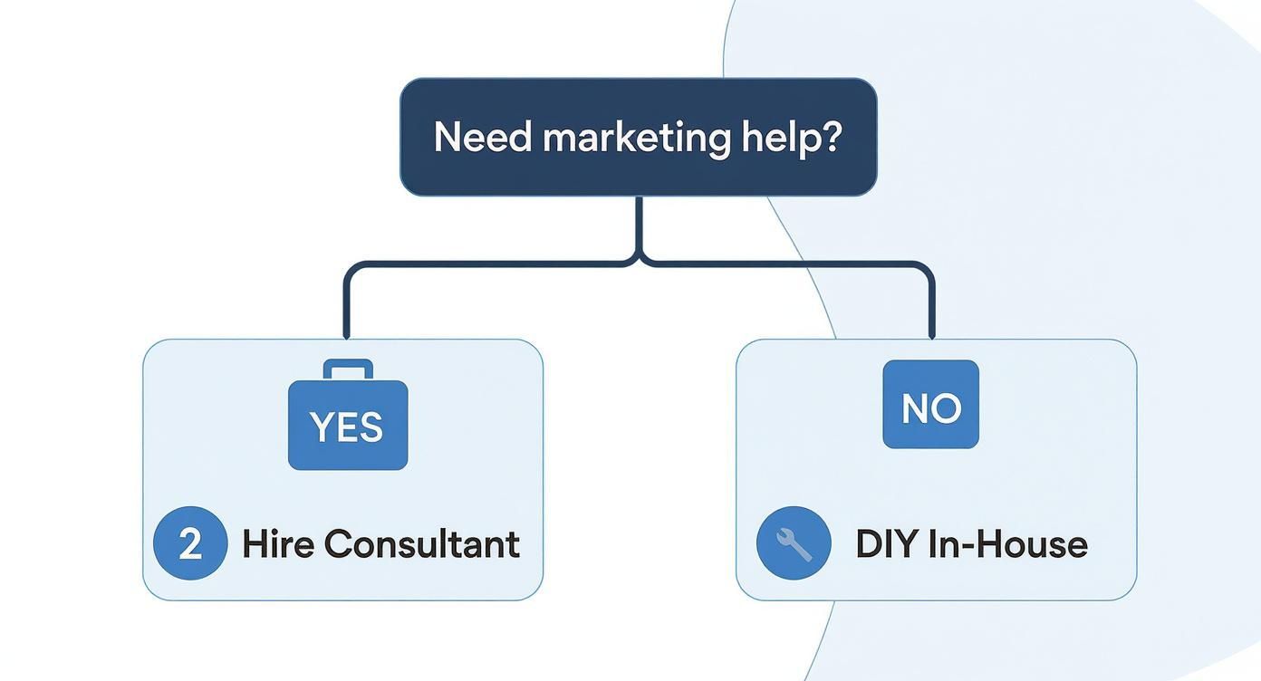 Infographic about digital marketing consultant