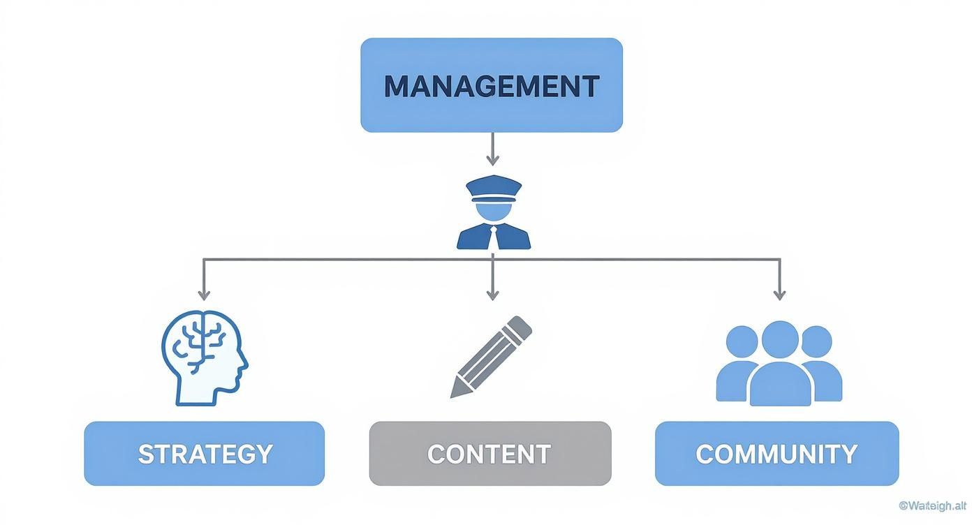 Diagram illustrating a management structure overseeing strategy, content creation, and community engagement.
