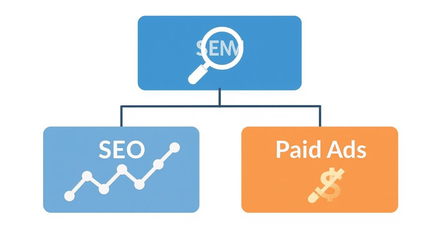 Diagram showing Search Engine Marketing (SEM) divided into SEO (growth graph) and Paid Ads (dollar sign).