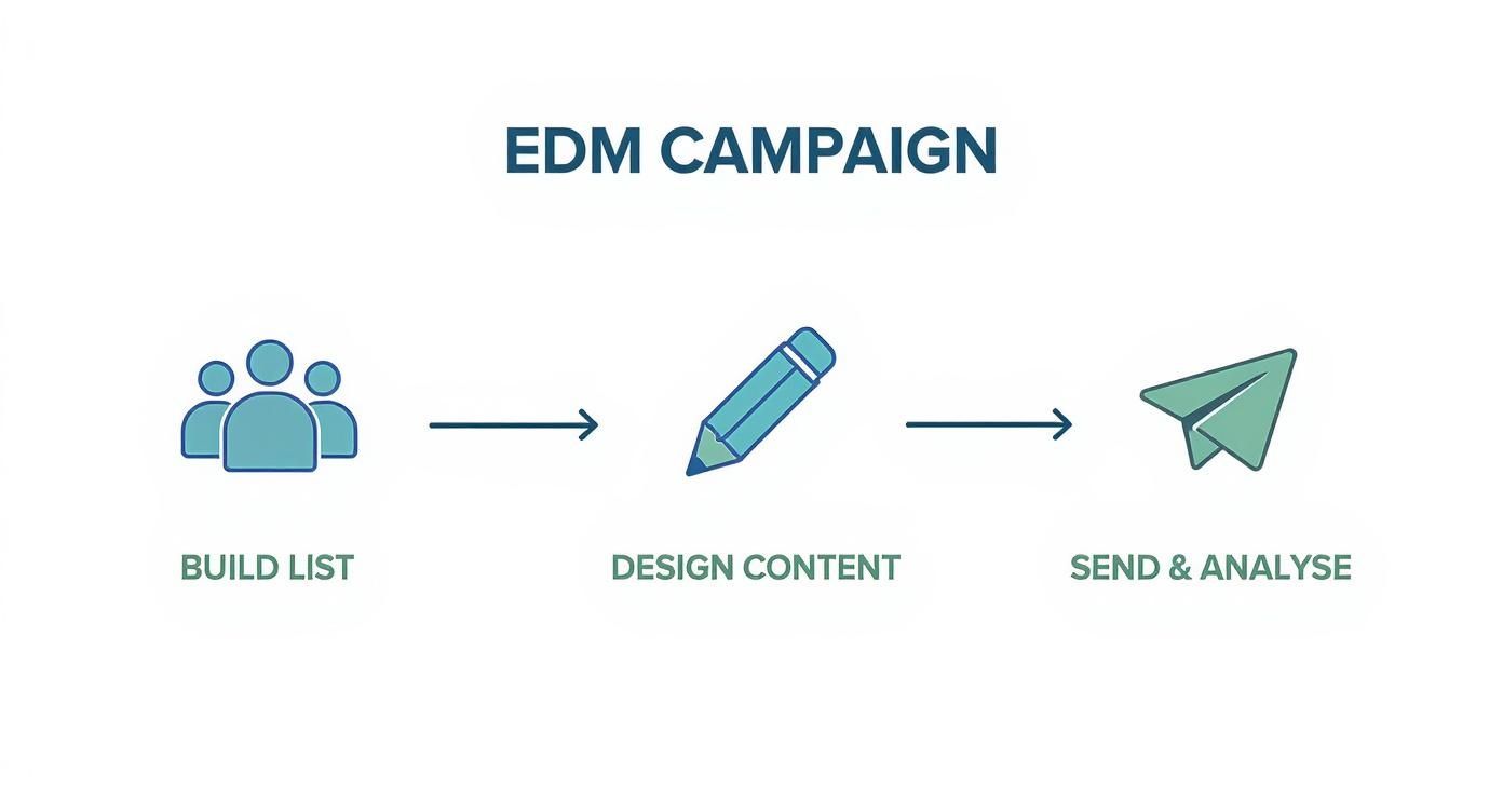 Infographic illustrating the EDM campaign process, showing steps: build list, design content, and send & analyze.